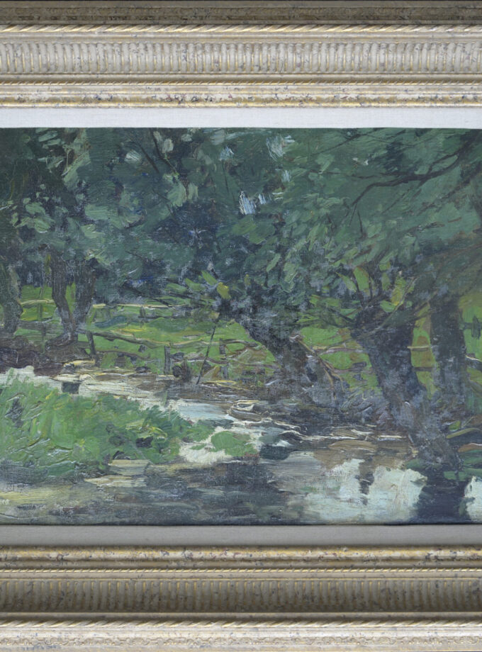 Wilgen aan een sloot