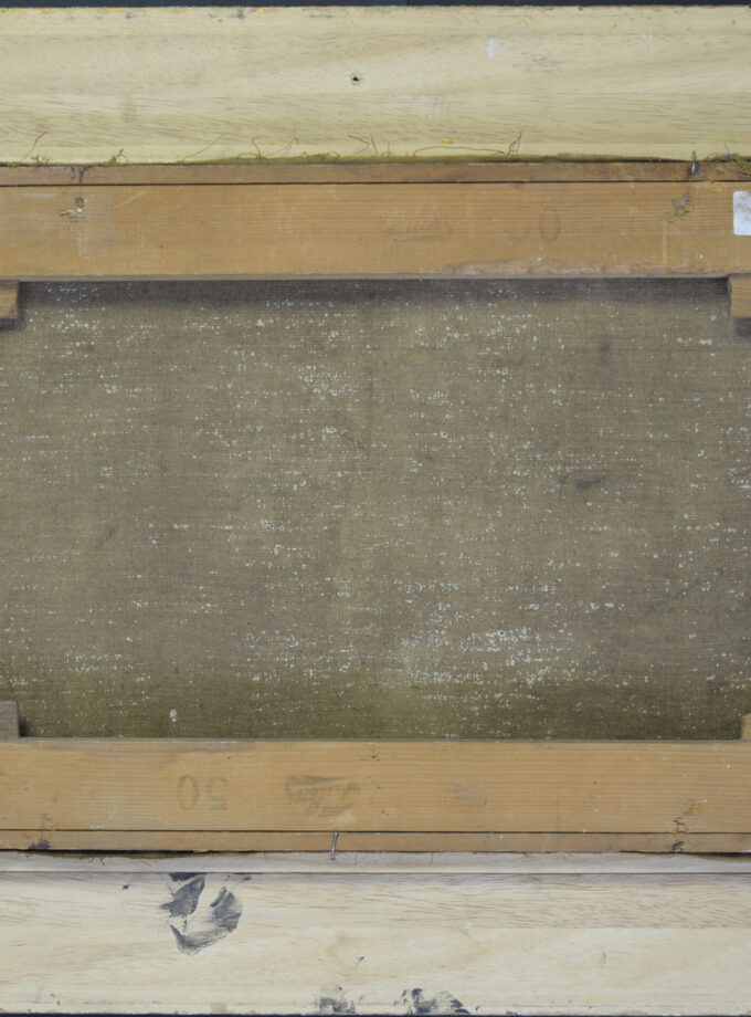 Wilgen aan een sloot