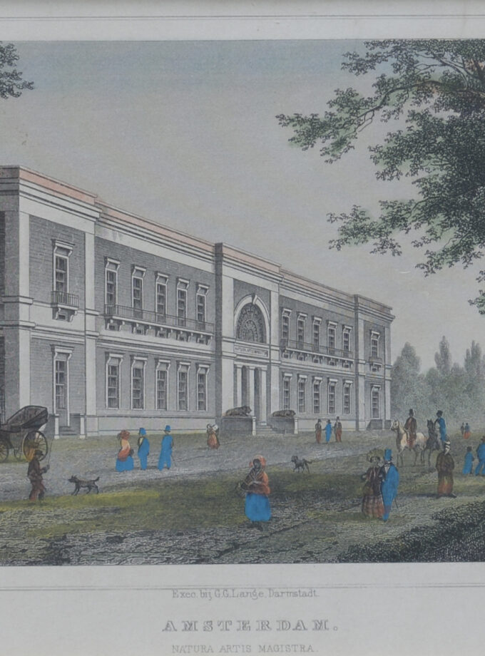 litho artis