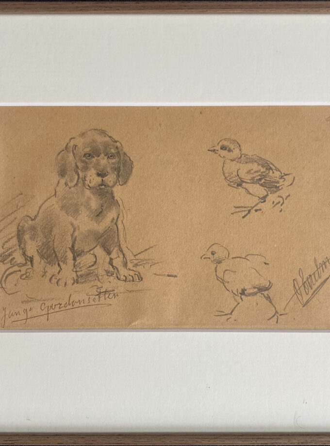 Jonge Gordon setter, Eerelman